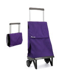 CARRO COMPRA ROLSER PLEGAMATIC ORIGINAL MF PLE001 MORE