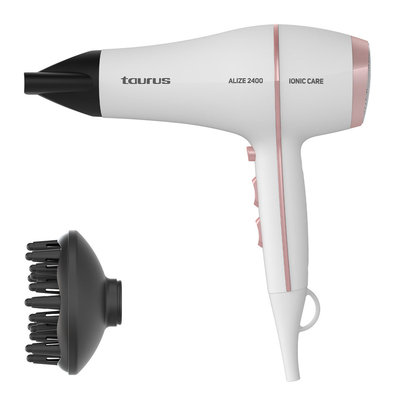 SECADOR TAURUS 900118000 ALIZE 2400 2400W DC IONIC
